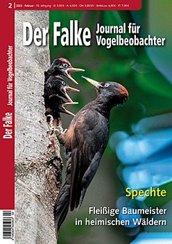 Der Falke Februar 2023